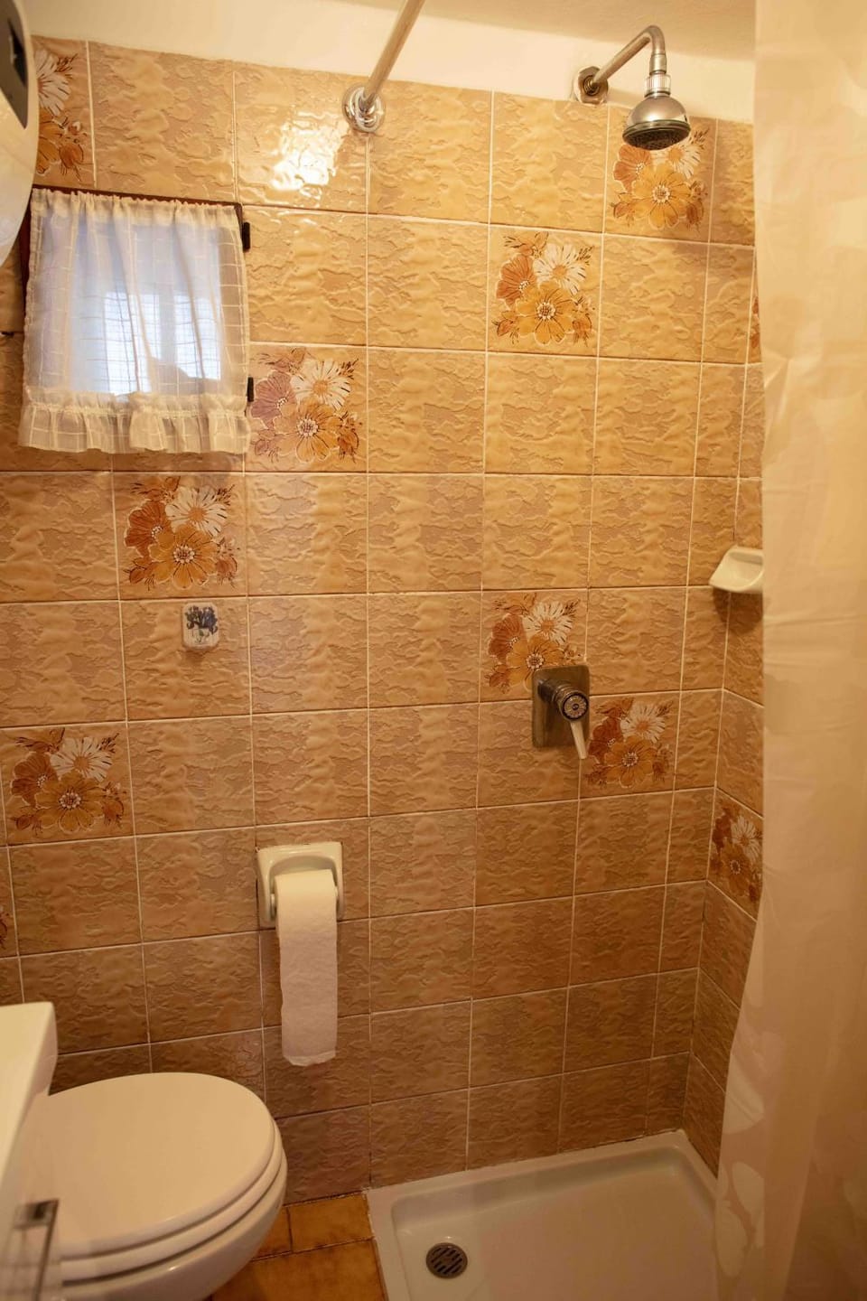 Shower, Toilet, Bathroom, bidet