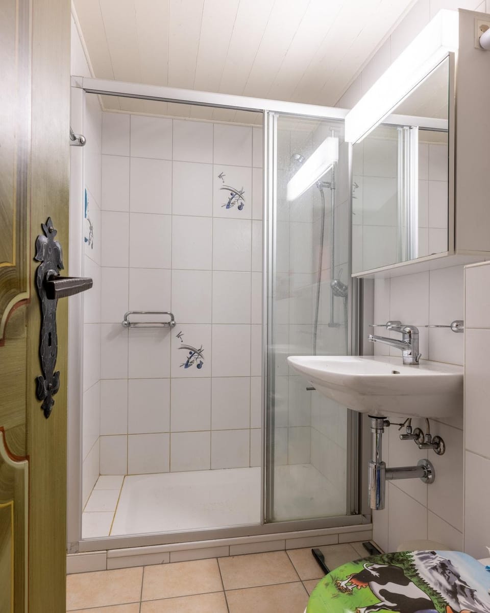 Shower, towels