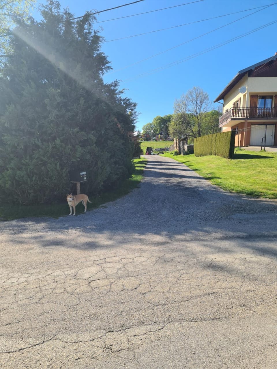 La maison d'antan Apartment in Morteau