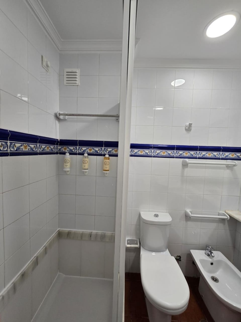 Shower, Toilet, Bathroom, bidet