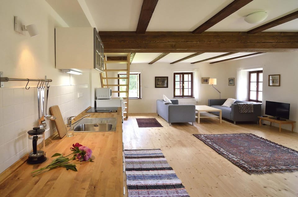 Apartmány pod Hrází Apartment in Horní Planá