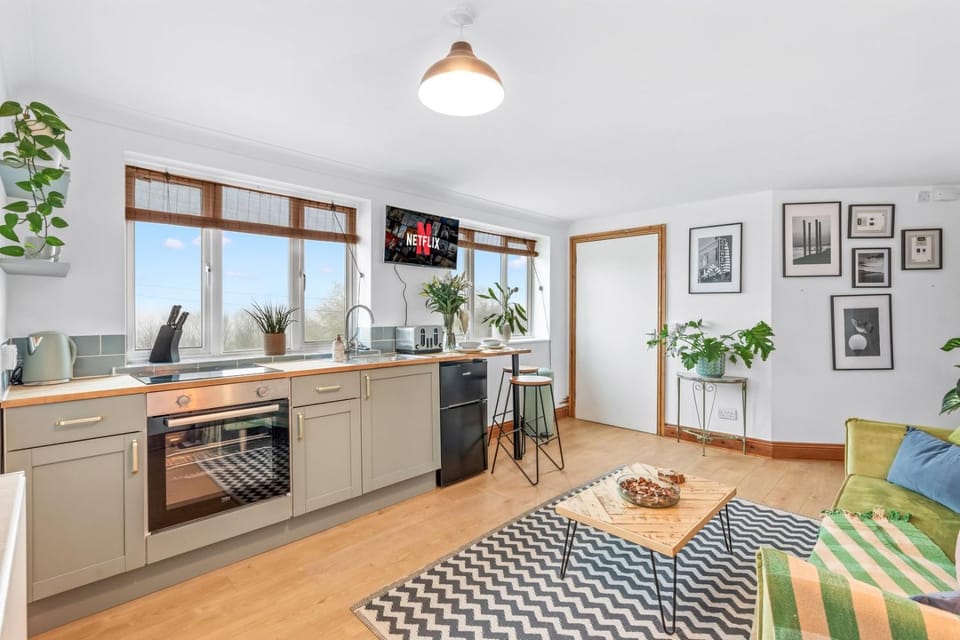 TV and multimedia, Kitchen or kitchenette, Living room, Seating area, Dining area, oven, pet friendly, stove