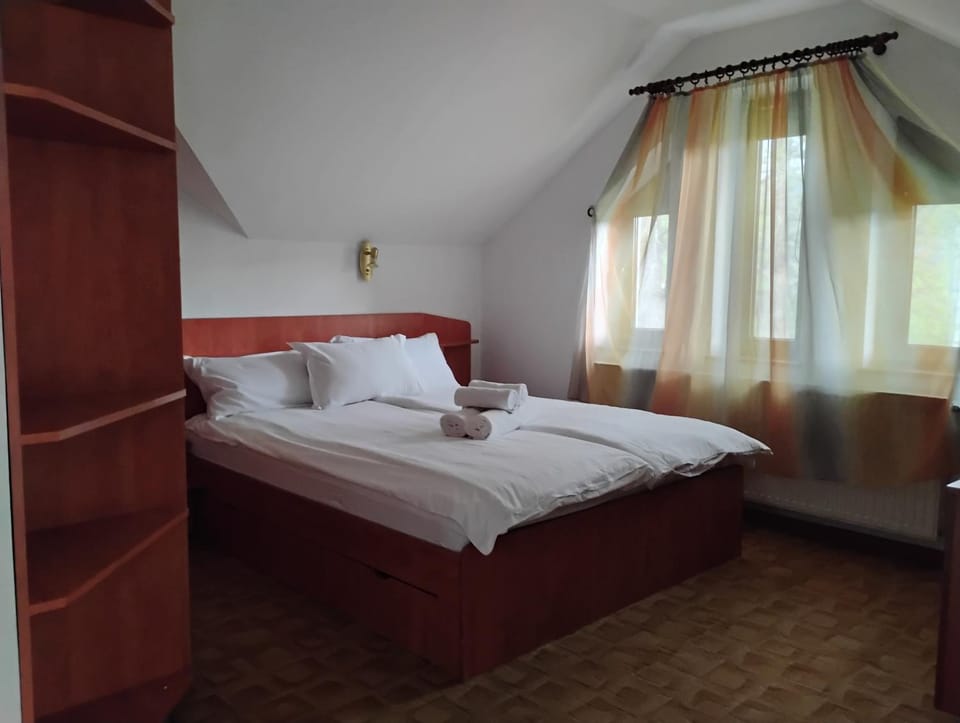 Paradise View Villa in Brasov