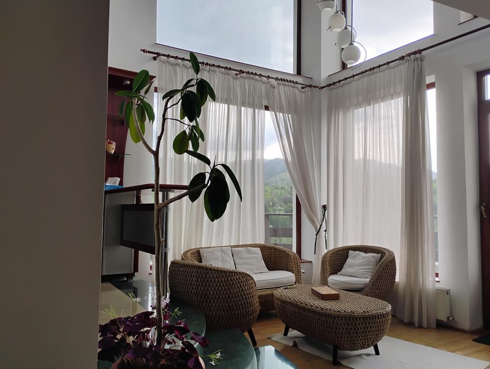 Paradise View Villa in Brasov
