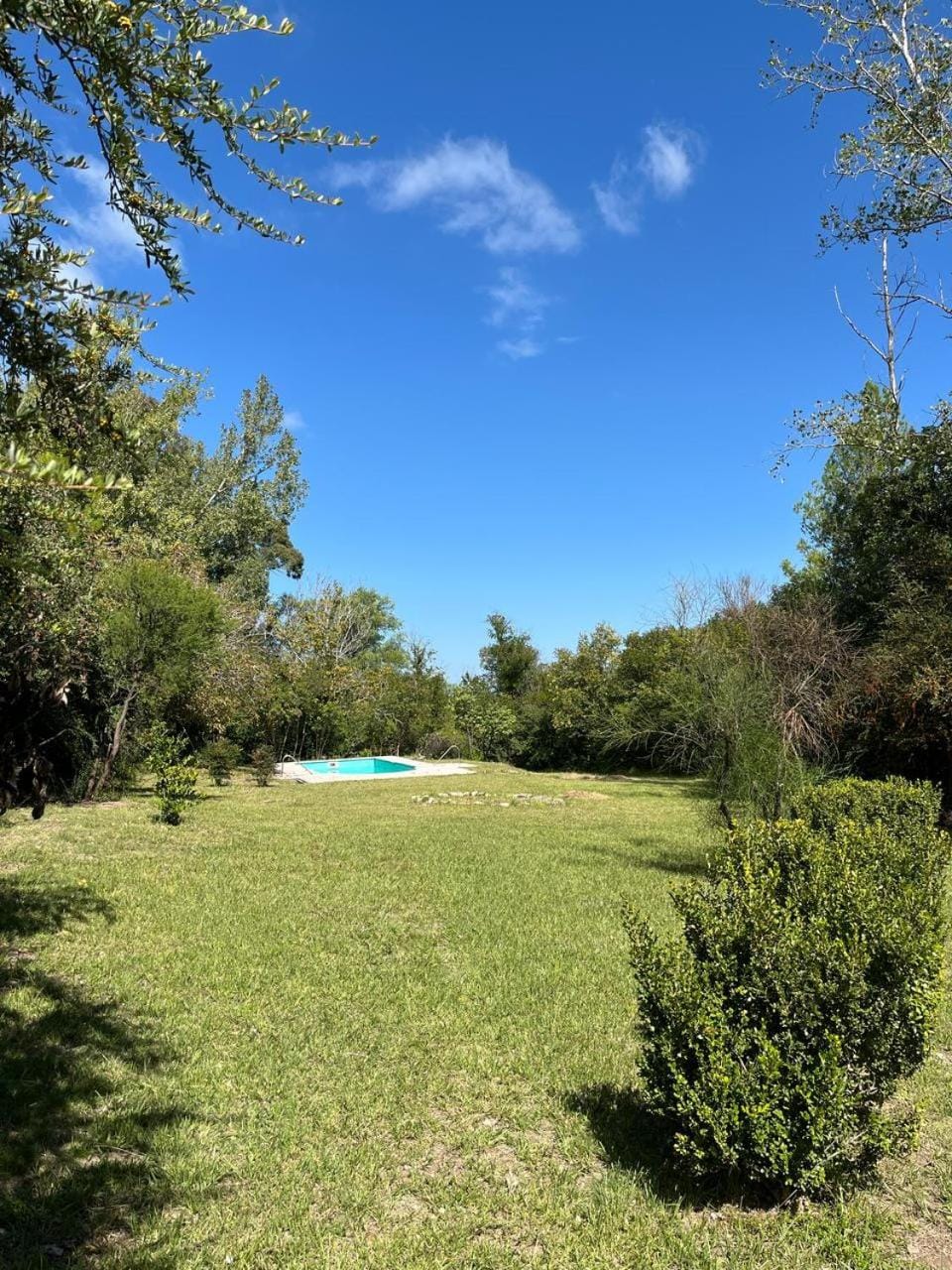 Natural landscape, Garden view, Swimming pool