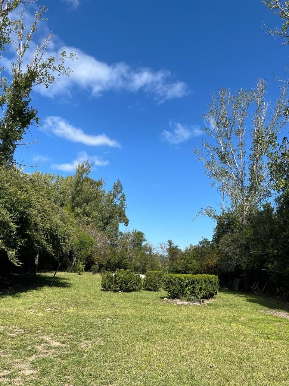 Natural landscape, Garden view