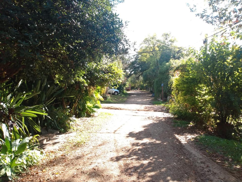 Natural landscape