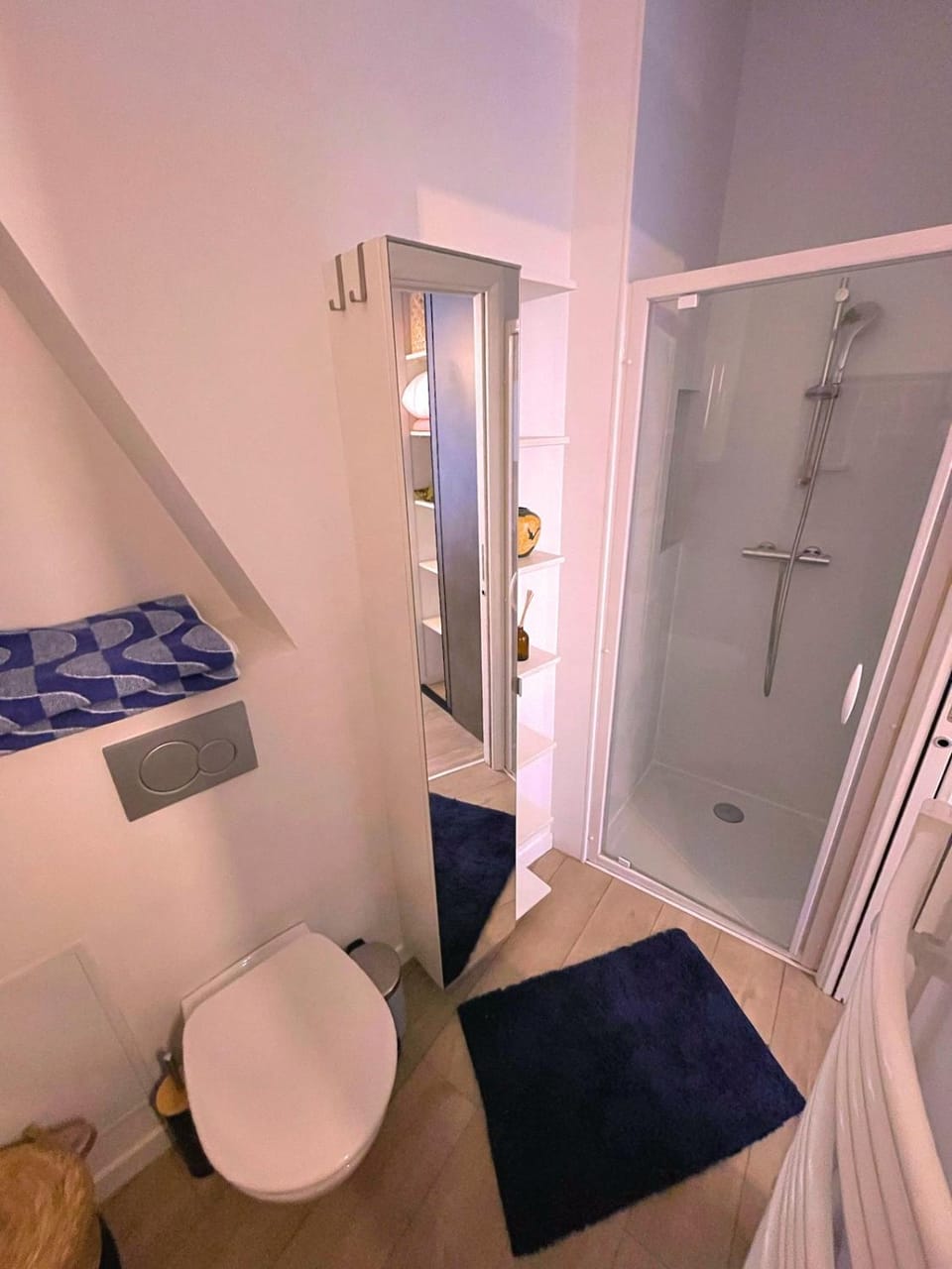 Shower, Toilet, towels