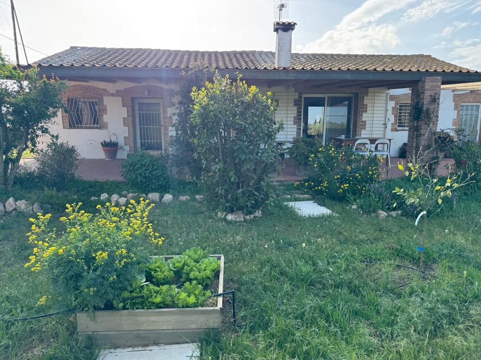 Property building, Garden