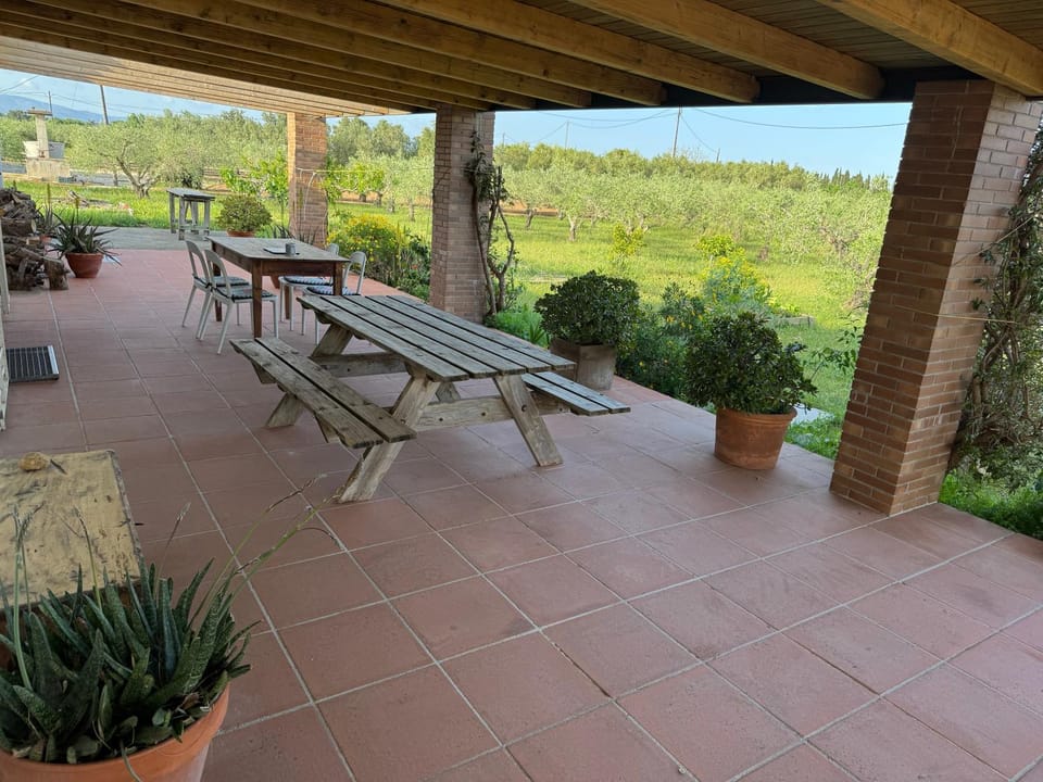 Garden, Balcony/Terrace