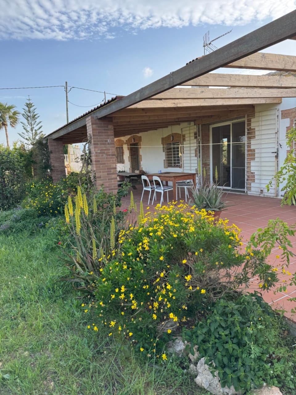 Garden, Balcony/Terrace