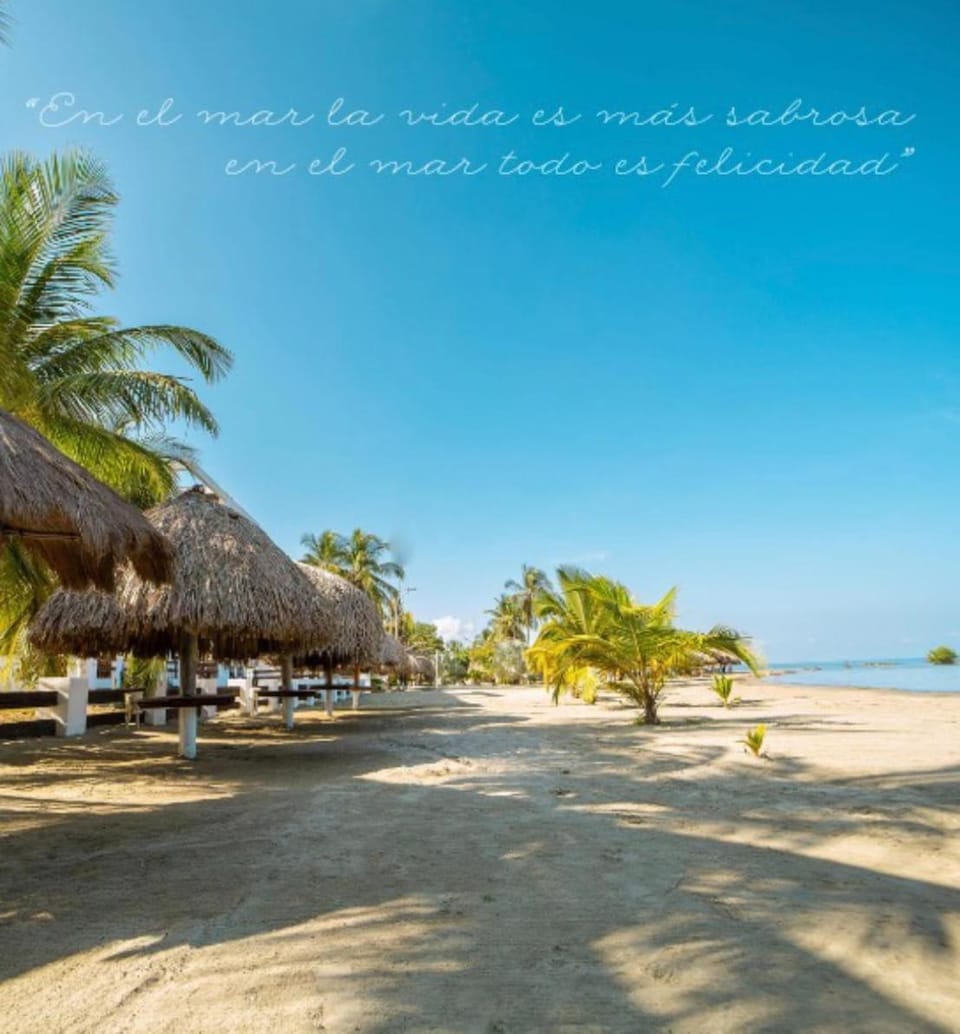 Day, Natural landscape, Beach, Sea view