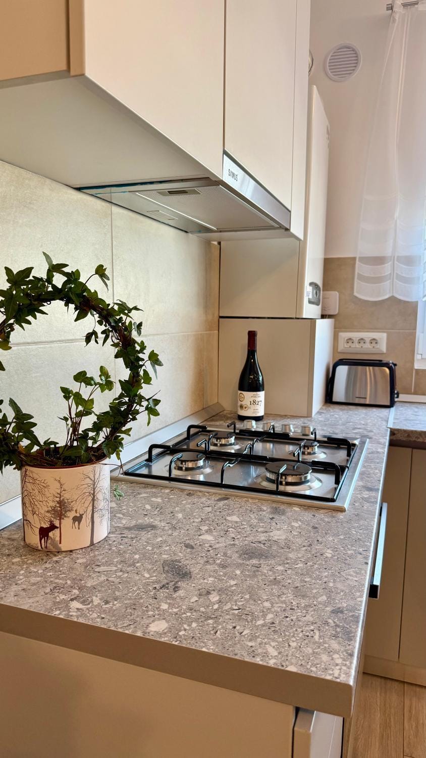 Kitchen or kitchenette, stove