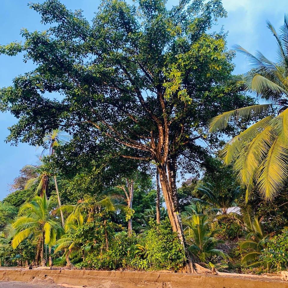 Natural landscape