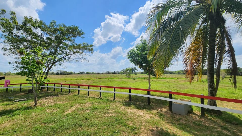 Garden, Garden view