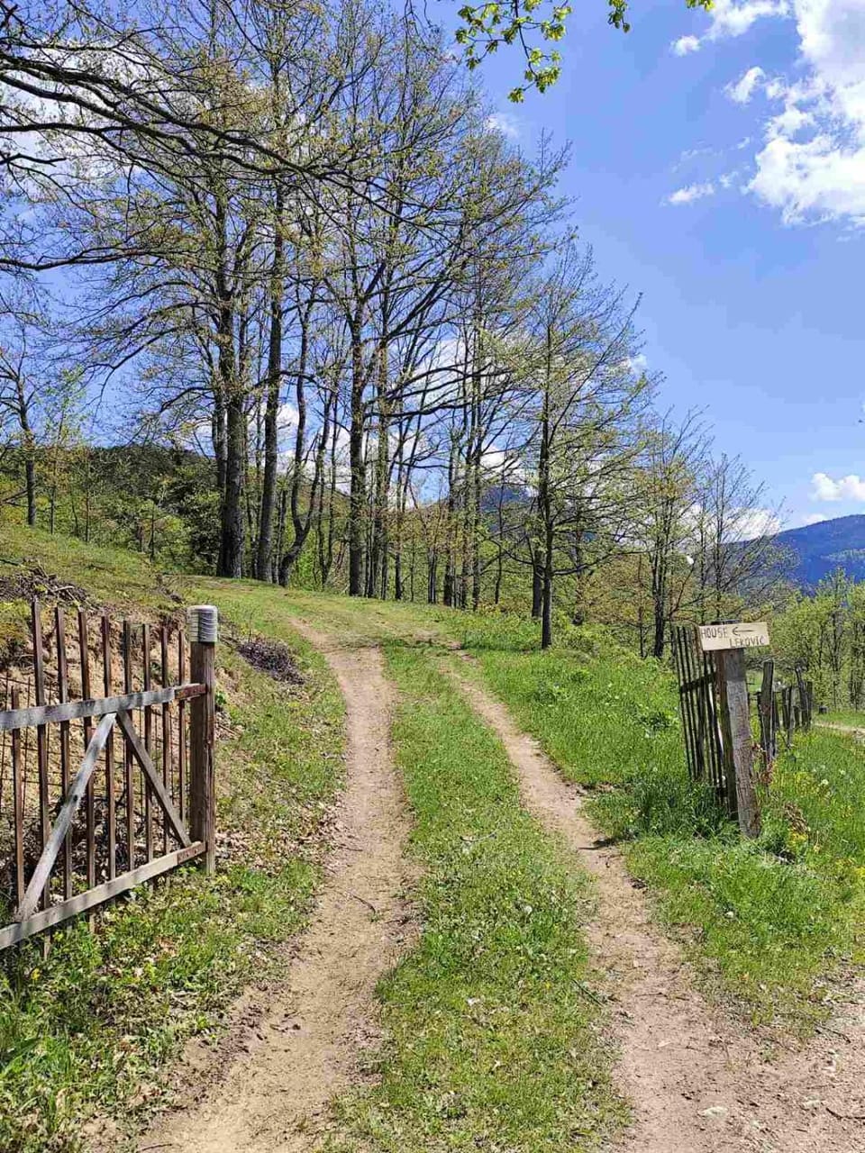 Mountain view