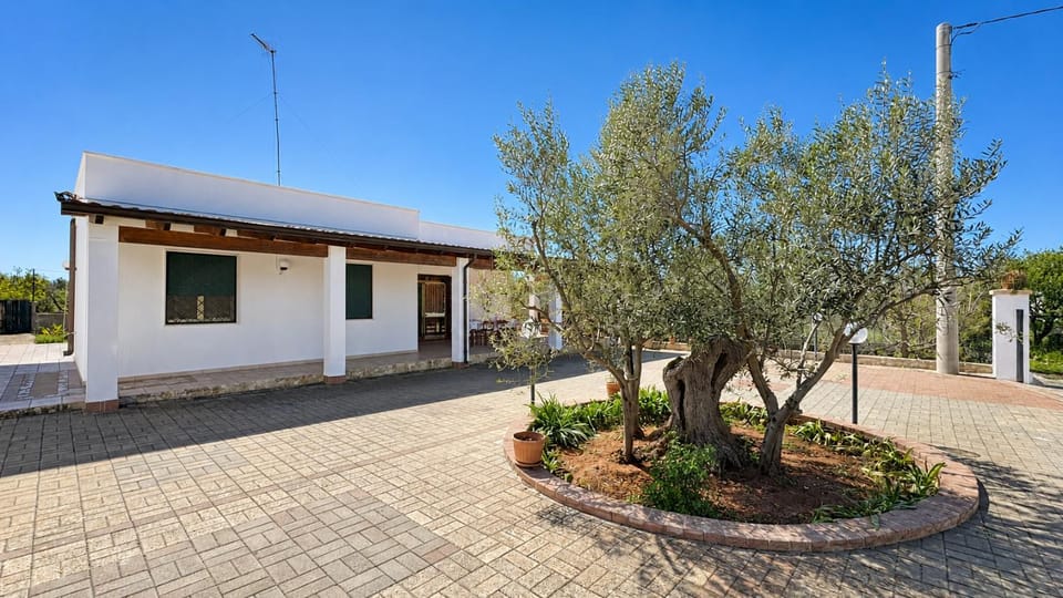 Property building, Day, Garden view