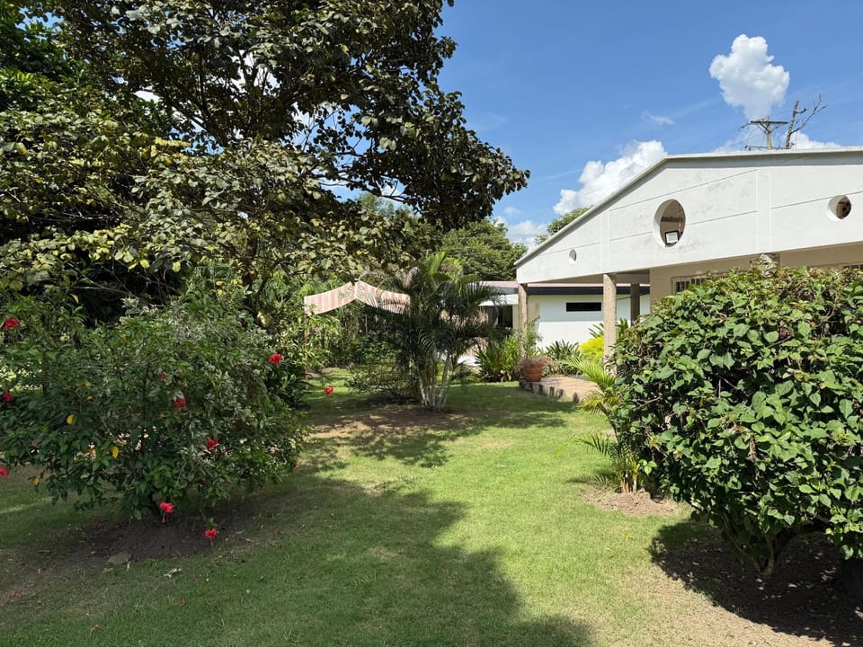 Garden view