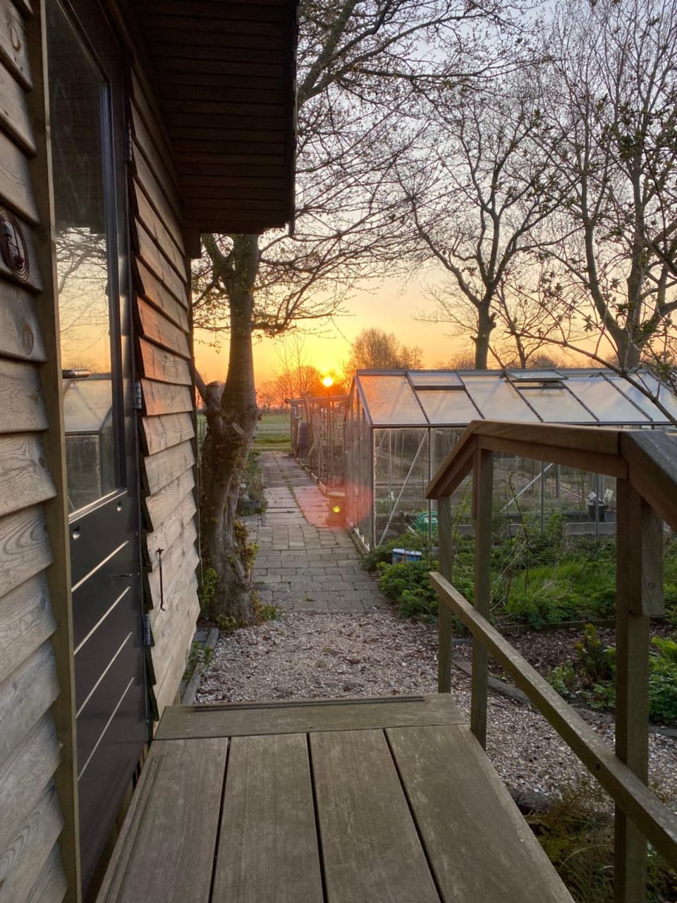 Spring, Day, View (from property/room), Sunrise