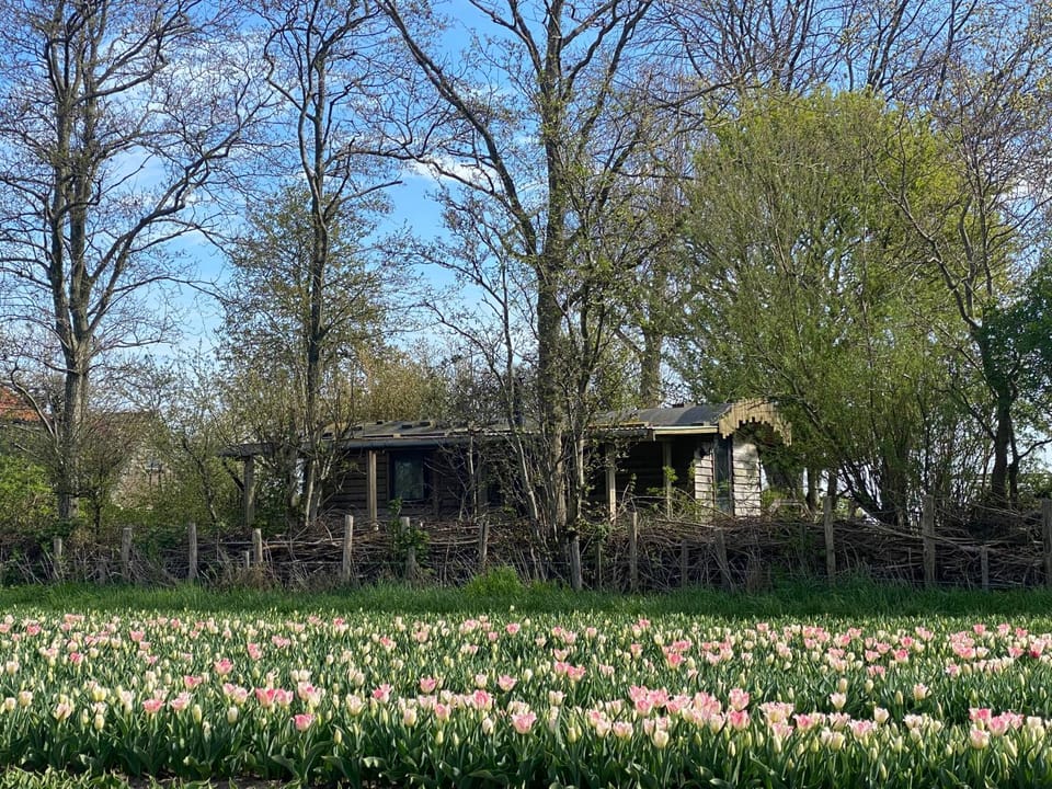 Property building, Natural landscape, Garden view