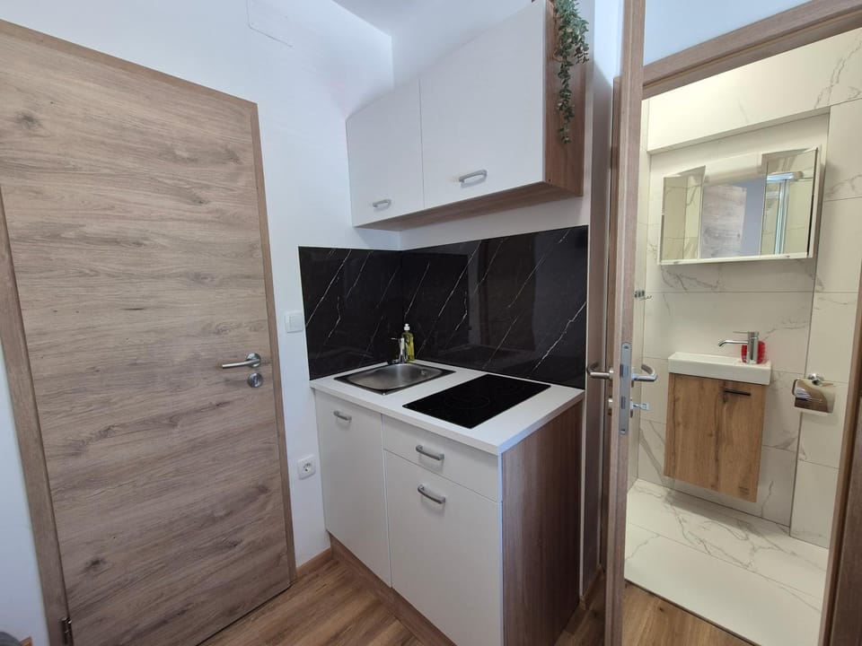 Villa Vojkova Apartment in Ljubljana