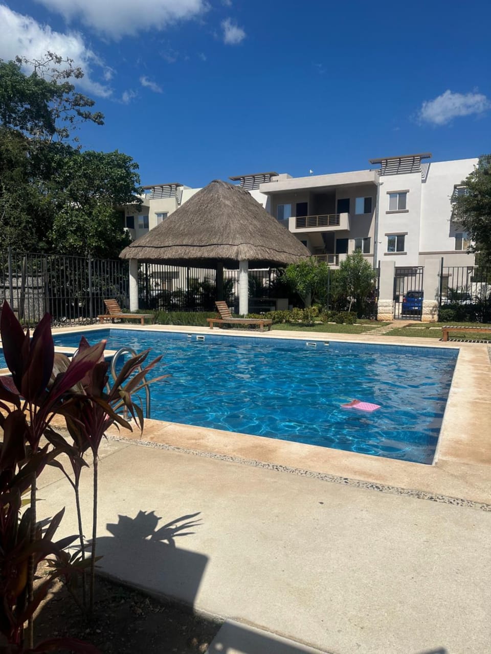 Swimming pool, Swimming pool