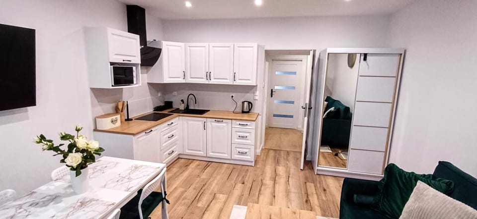 Kitchen or kitchenette, dishwasher, oven, stove