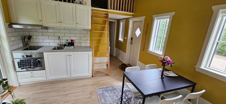 Kitchen or kitchenette, Dining area, oven, stove