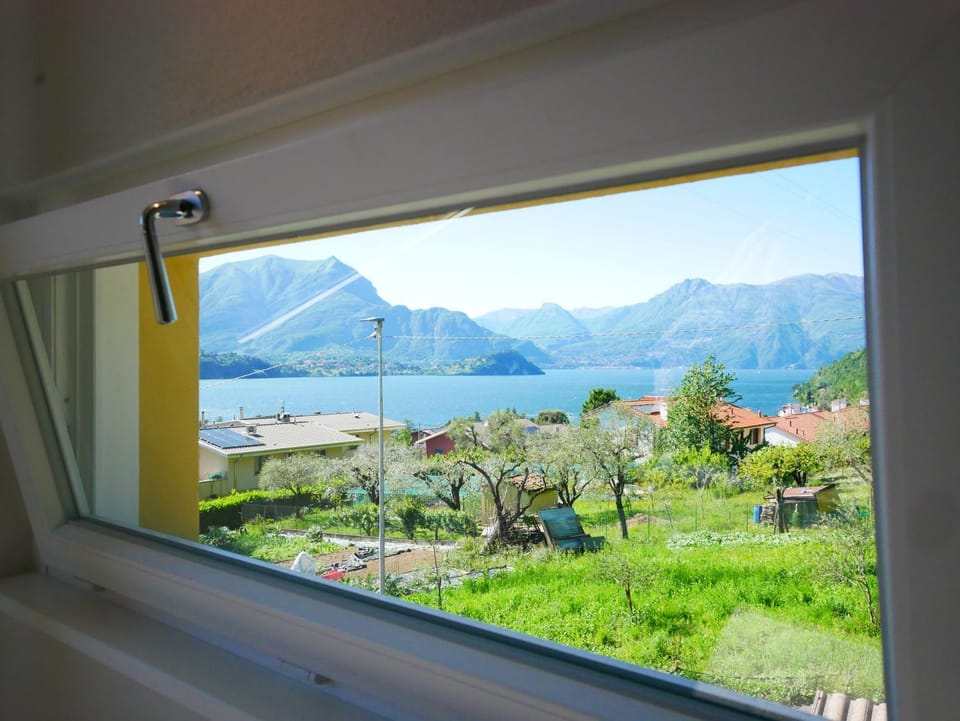 Lake view