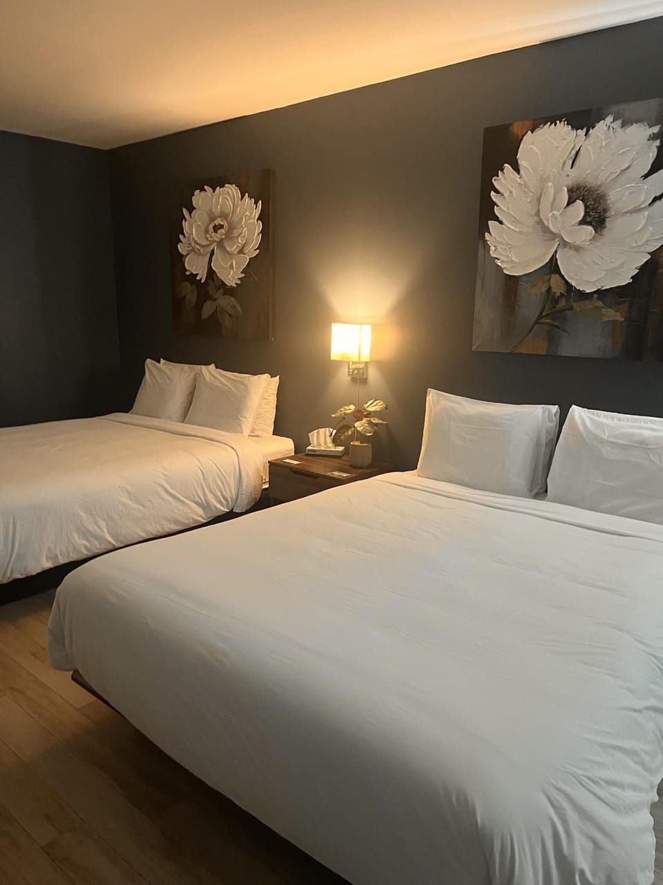 Hôtel Normandie Hotel in Rimouski