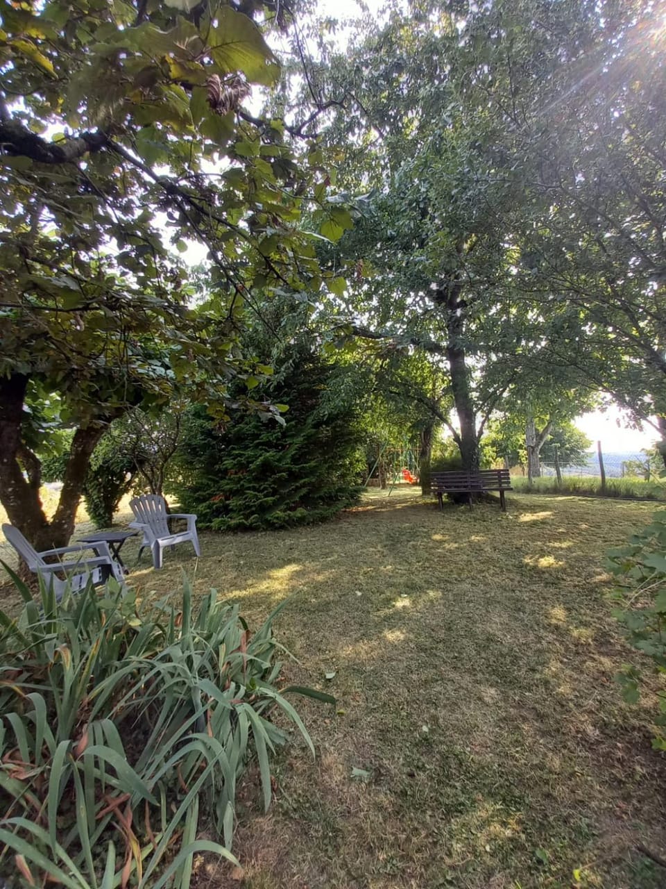 Natural landscape, Garden