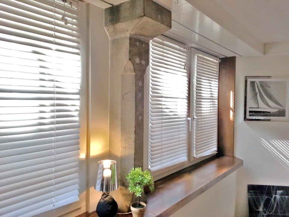 Charming City Centre of Zurich Apartment in Zurich City