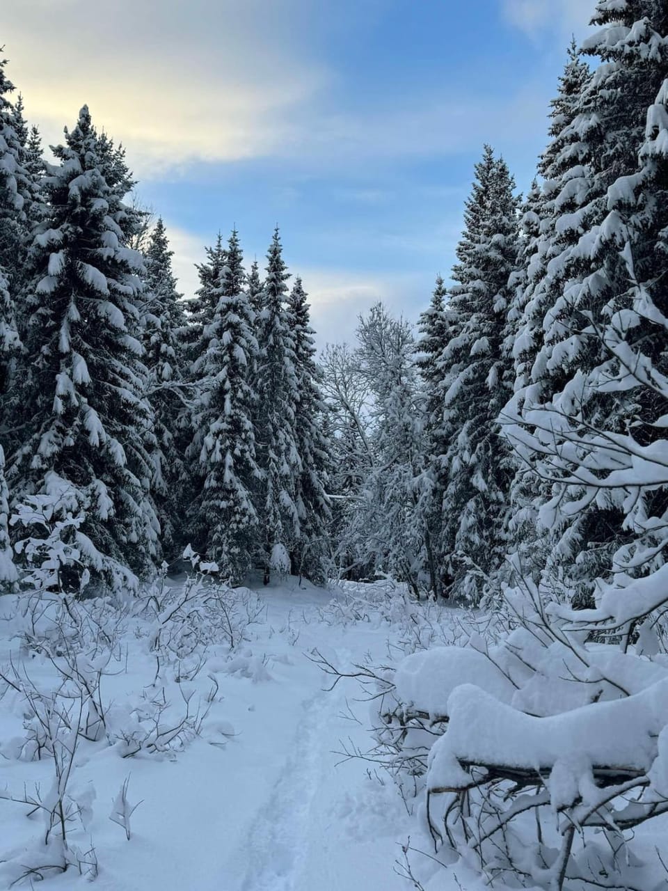 New studio apartment in Tromsø, with free parking Apartment in Tromso