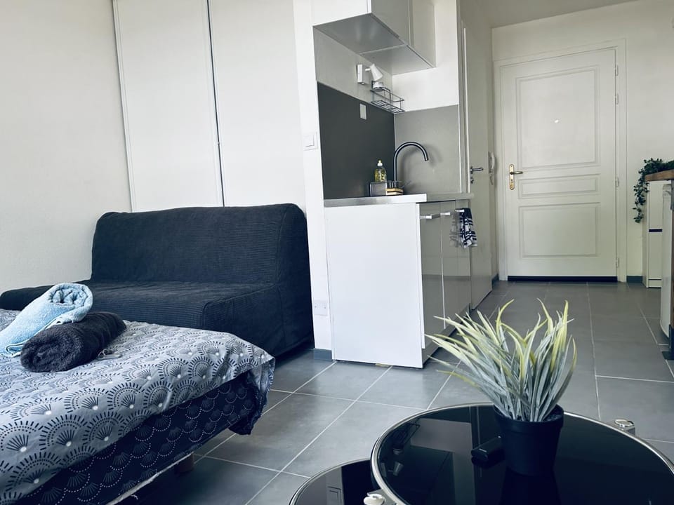 STUDIO tres pratique Apartment in Strasbourg