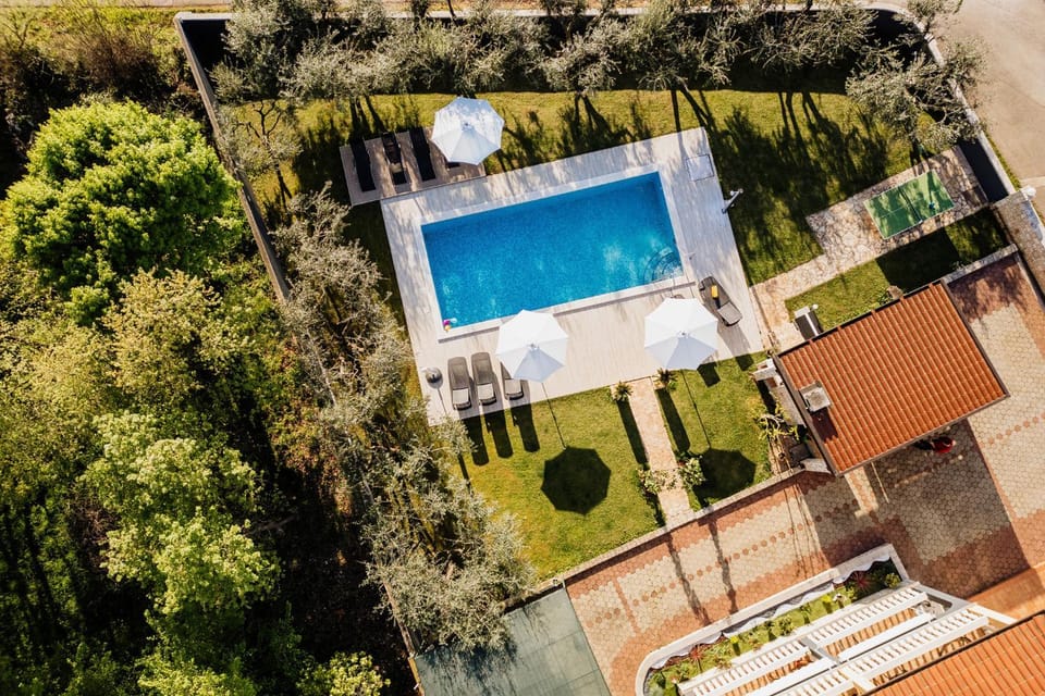 Garden, Swimming pool