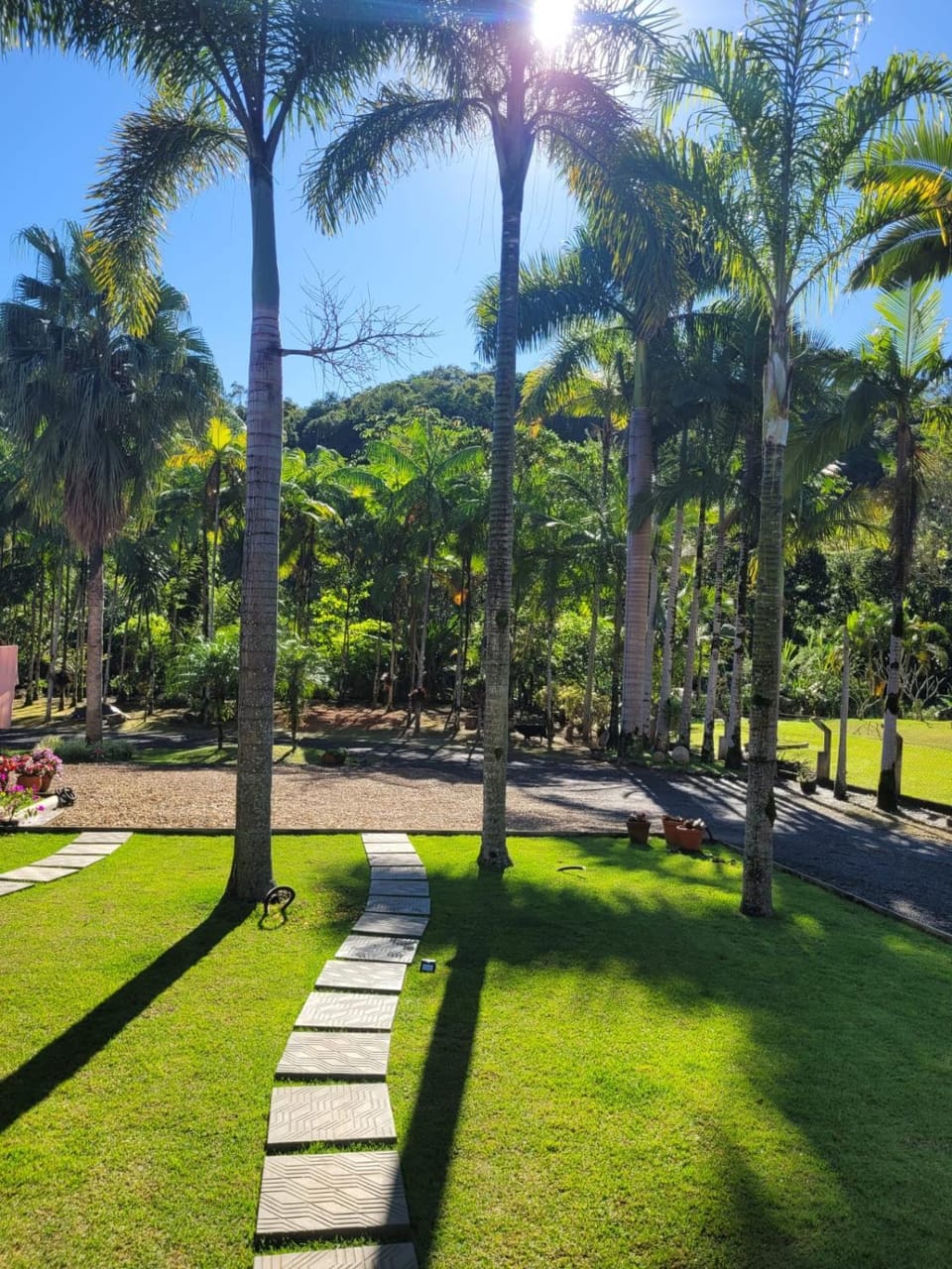 Natural landscape, Garden view, Landmark view, Inner courtyard view