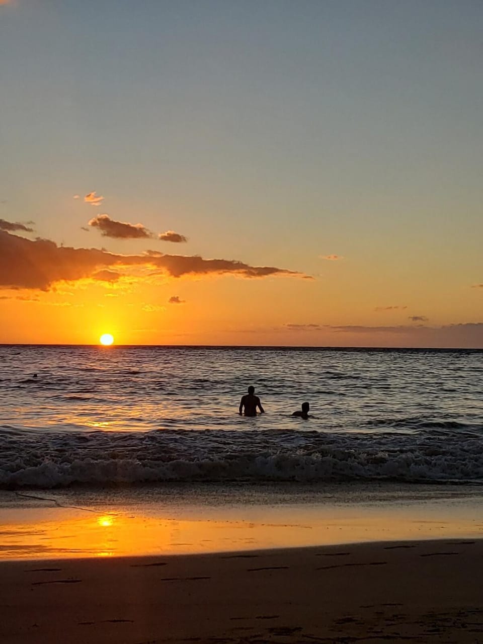 Turtle Paradise - King bed, AC, Across from Beach Apartment in Kihei