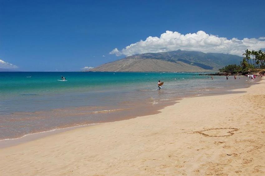 Turtle Paradise - King bed, AC, Across from Beach Apartment in Kihei