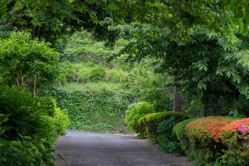 Facade/entrance, Natural landscape