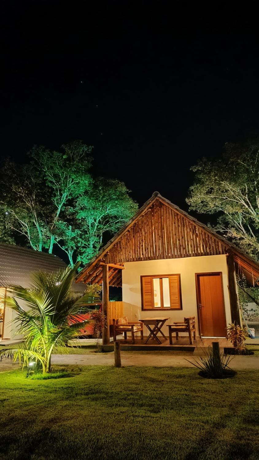 Patio, Night, Garden