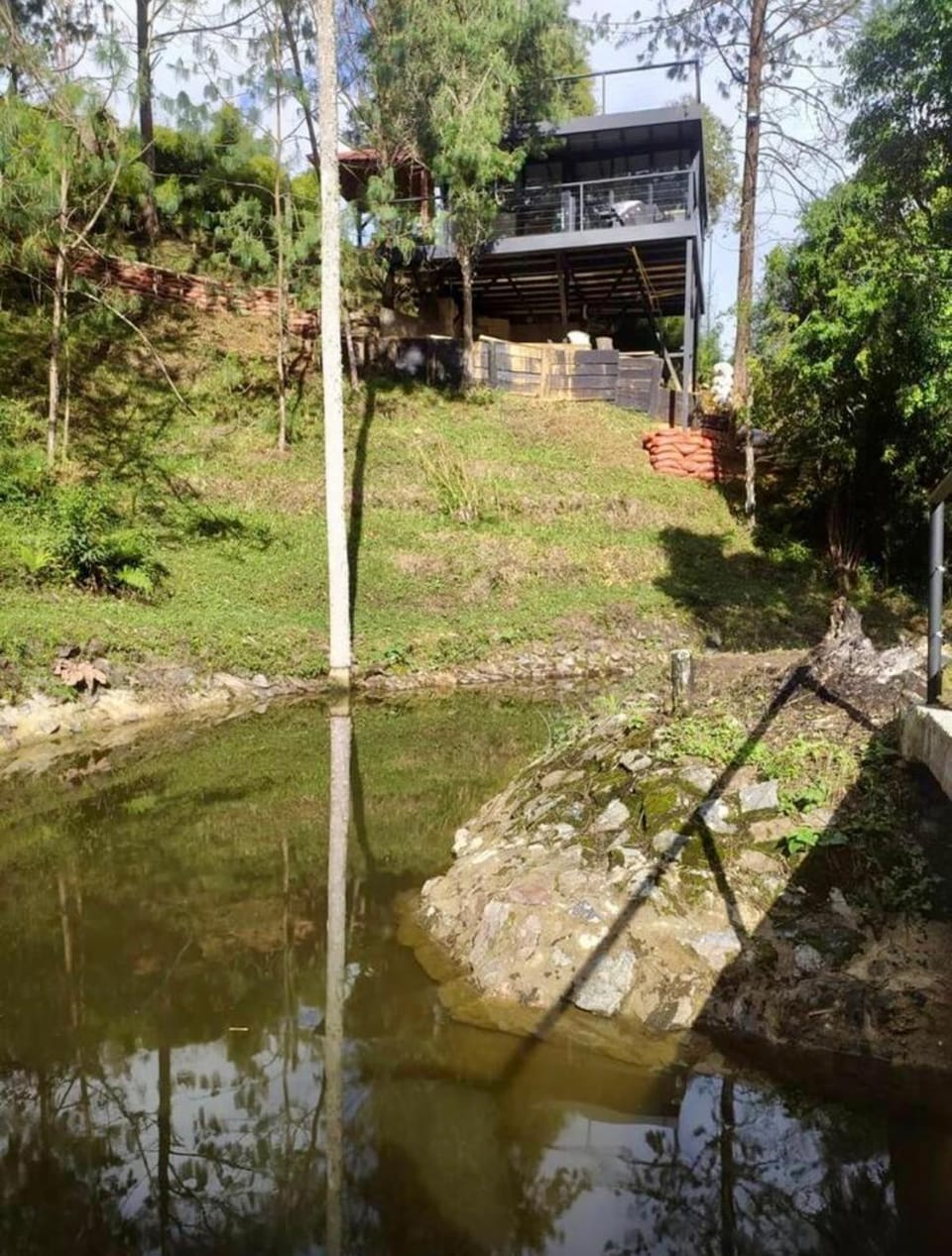 Lake view