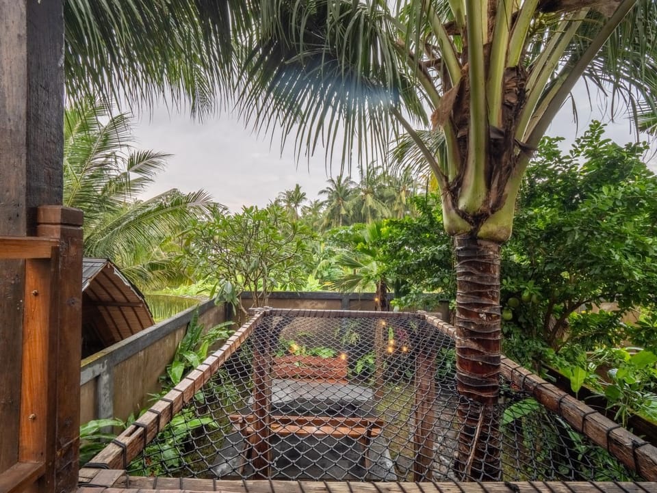 Natural landscape, Garden view