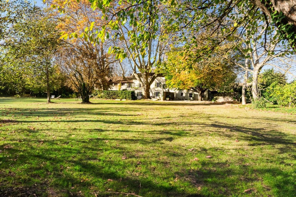 Property building, Garden, Garden view