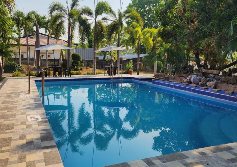 Swimming pool, Swimming pool