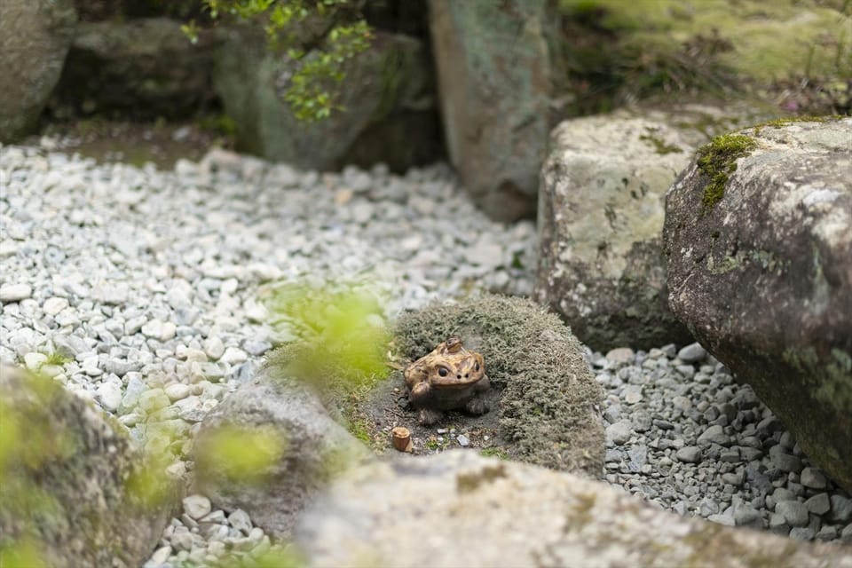 Day, Natural landscape