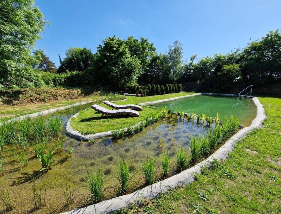 Garden view, Pool view, Swimming pool