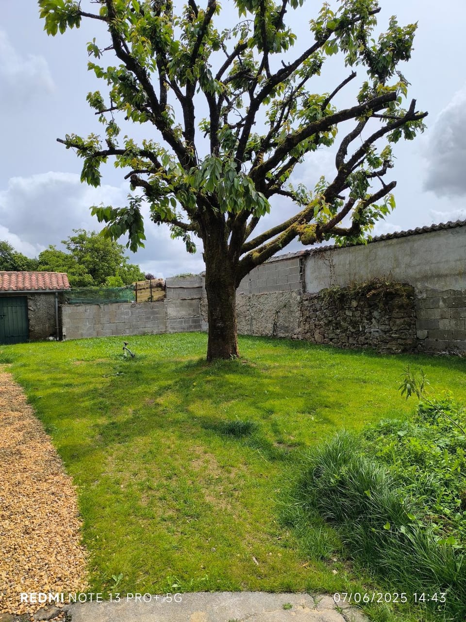 Garden, Garden view