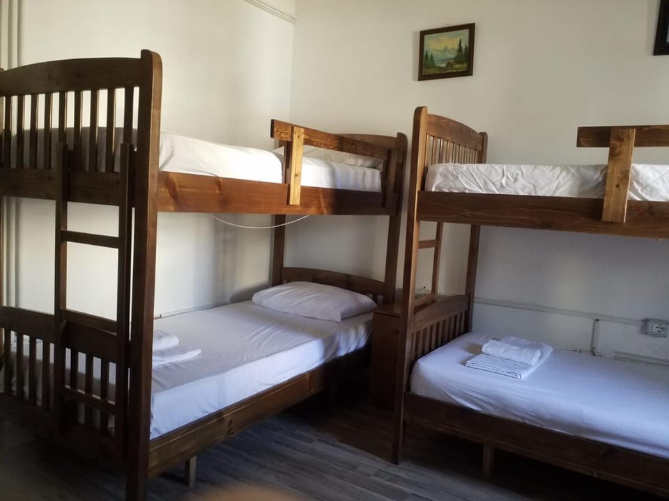 Rose Hostel Hostel in Tirana