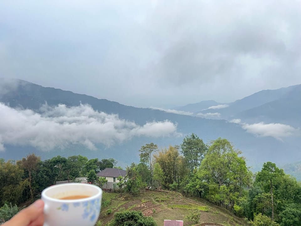 View (from property/room)