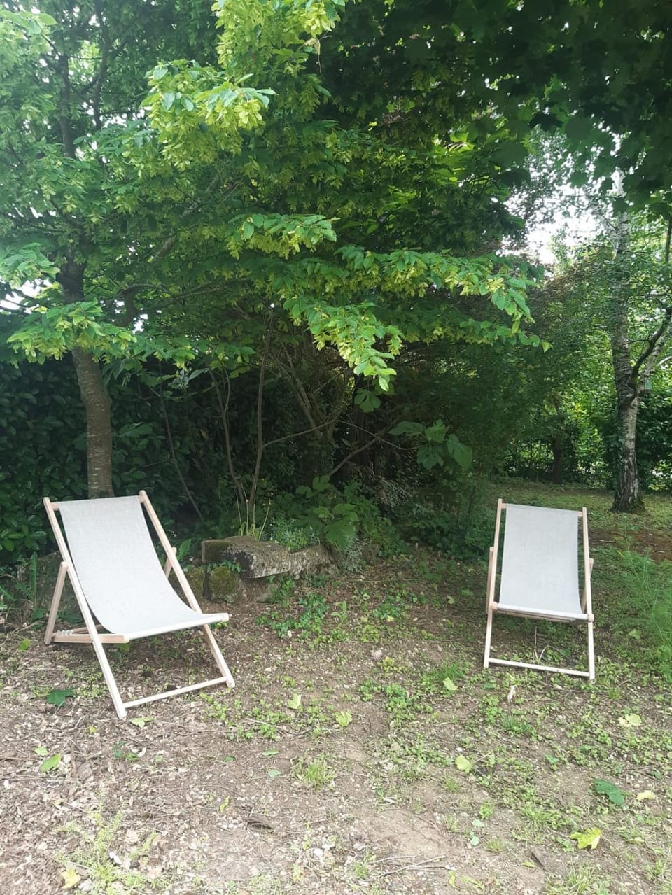 Le Petit Gîte de la gare Apartment in Nouvelle-Aquitaine